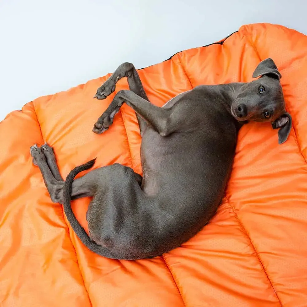 Camping-Hundematte - "Outdoor" orange
